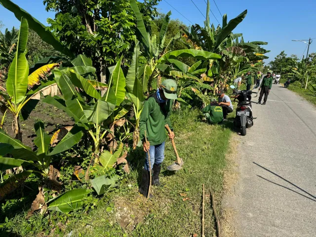 Tingkatkan Ruang Terbuka Hijau, DLH Bojonegoro Salurkan Ratusan Bibit Pohon untuk Desa Purworejo
