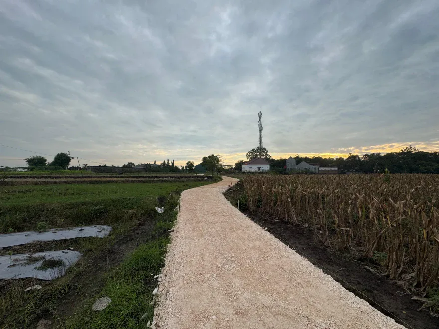 Dana Desa 2025 - Pembangunan Jalan Usaha Tani di Desa Purworejo Dukung Akses Pertanian Warga Untuk Meningkatkan Produktifitas Petani
